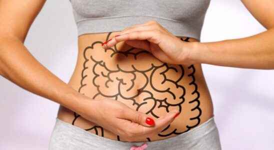 Irritable bowel syndrome is linked to certain intestinal cells