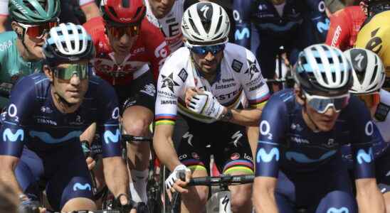 Julian Alaphilippe package for the Tour de France The decision