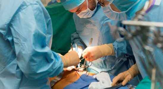 Kidney transplant new transplant for a kidney already transplanted ten