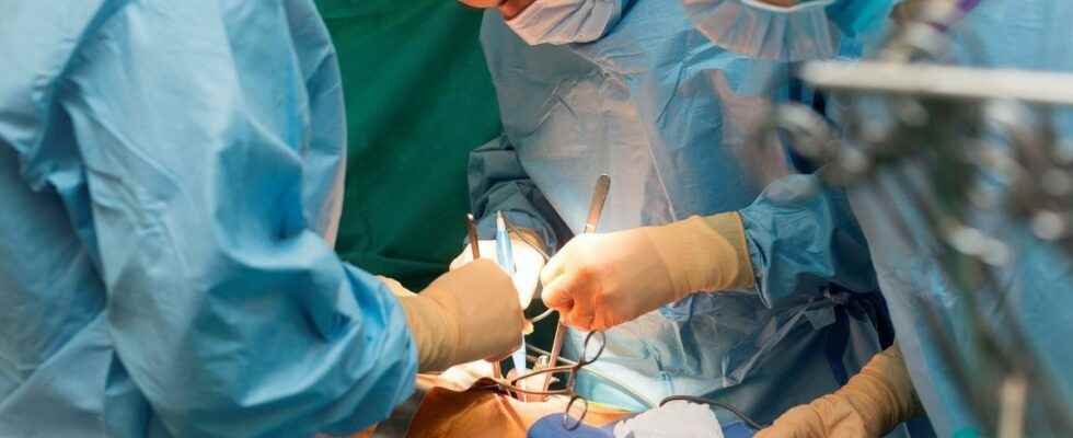 Kidney transplant new transplant for a kidney already transplanted ten