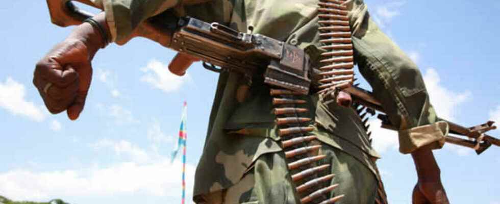 Kinshasa and armed groups oppose over the reintegration of rebels