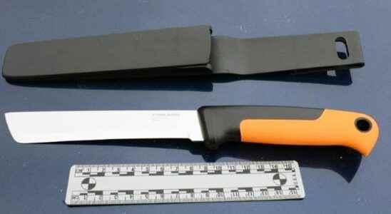 Knife wielding suspect citizens caught outside Sarnia hardware store jailed one