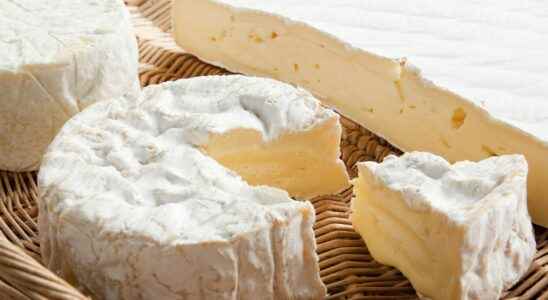 Listeriosis recall of six cheeses sold in supermarkets