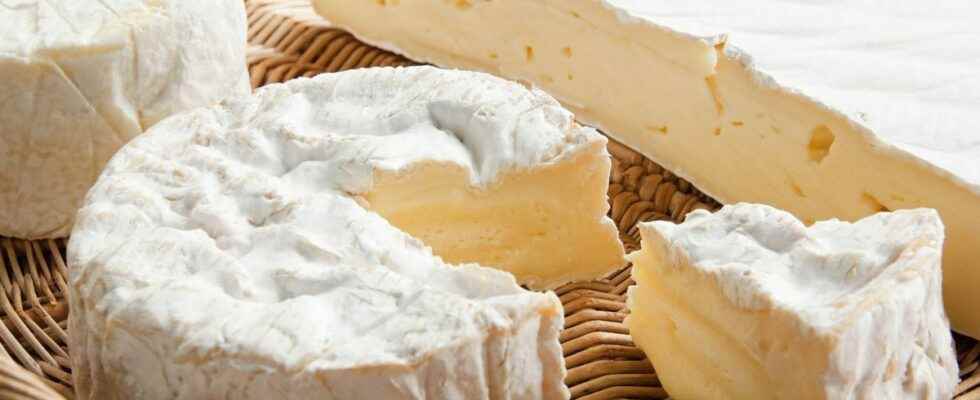 Listeriosis recall of six cheeses sold in supermarkets
