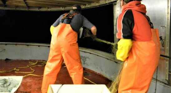 MARTINELLO Its in the blood for Lake Erie commercial fishermen