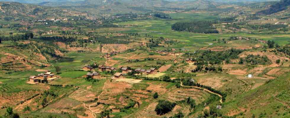 Malagasy civil society wants to protect land from foreign investors