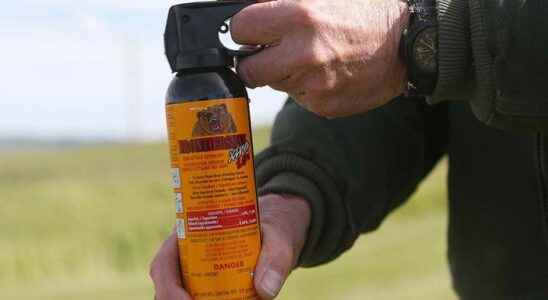 Man accused of spraying someone in face with bear spray