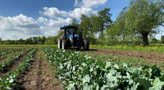 Mens farm Nieuw Bureveld opened This is how citizens regain