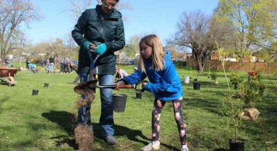 Mini forest planted Saturday in Sarnia park