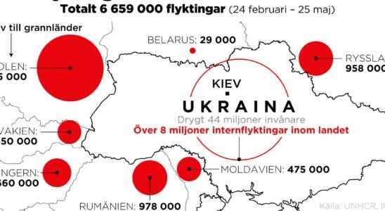 More than 66 million have fled Ukraine
