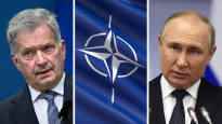 Putins mild reaction to Finlands NATO decision surprised Finns
