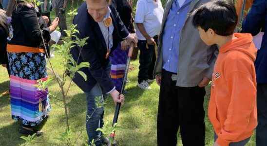 Residential school survivors are remembered by planting of apple trees
