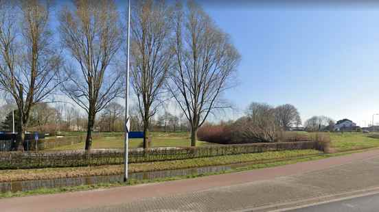 Residents of Oudewater revolt against contractor who prunes nesting birds