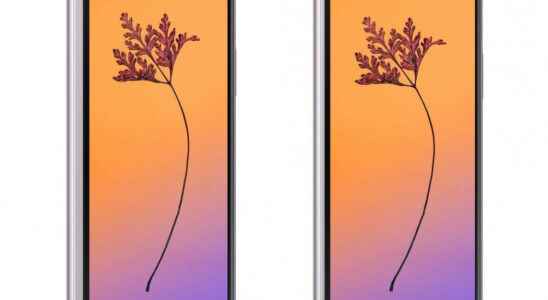 Samsung Galaxy Fold 4 screen sizes revealed