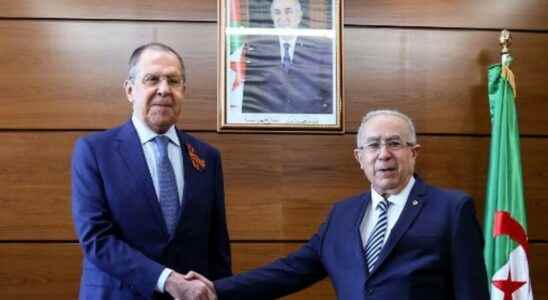 Sergei Lavrov makes a more than diplomatic visit to Algeria