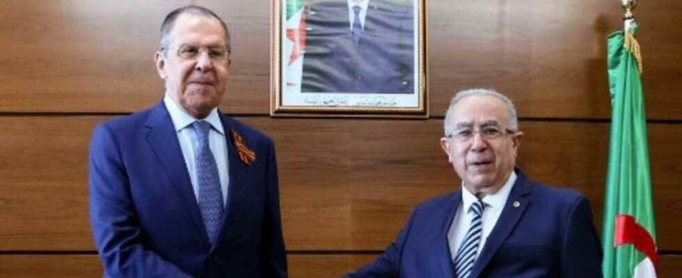 Sergei Lavrov makes a more than diplomatic visit to Algeria