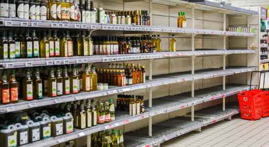 Shortage of sunflower oil our tips and alternatives to replace
