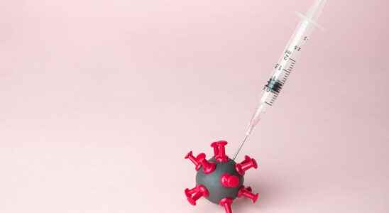 Smallpox vaccine date stopped in France