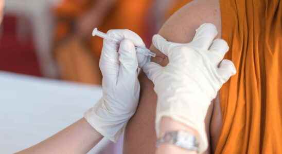 Smallpox vaccine monkey for whom mandatory
