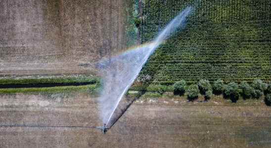 Spraying with surface water is prohibited in part of the