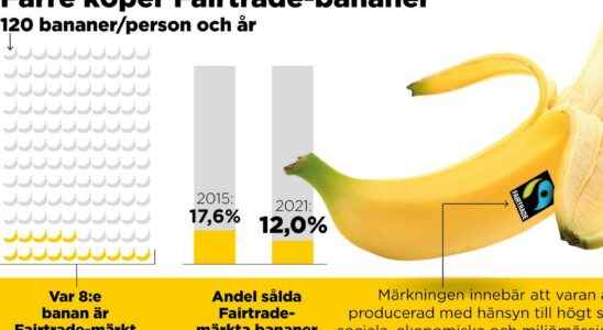 Swedes buy bananas from vulnerable growers