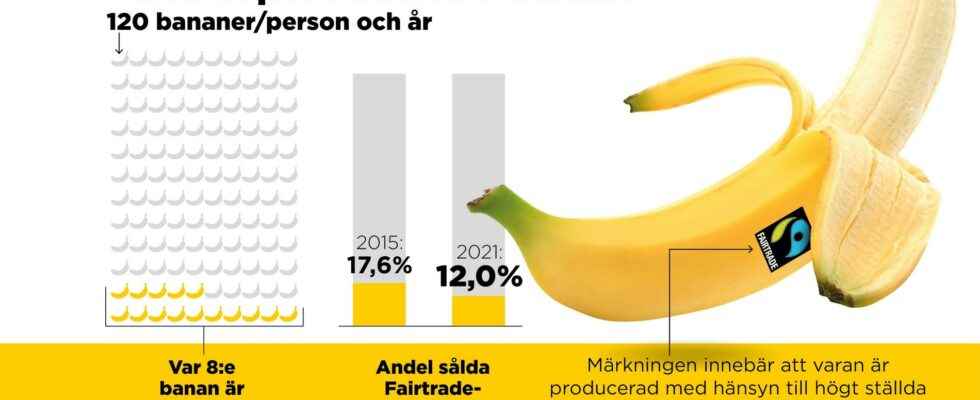 Swedes buy bananas from vulnerable growers