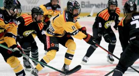 Tackles are allowed in Swedish womens hockey in SDHL