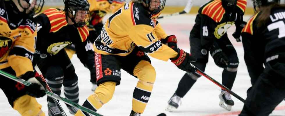 Tackles are allowed in Swedish womens hockey in SDHL