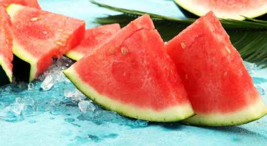 The 10 most water rich fruits