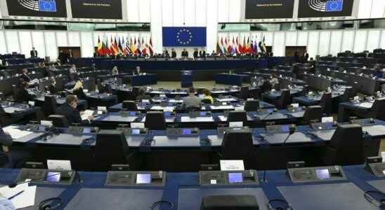 The European Parliament adopts the principle of transnational lists for