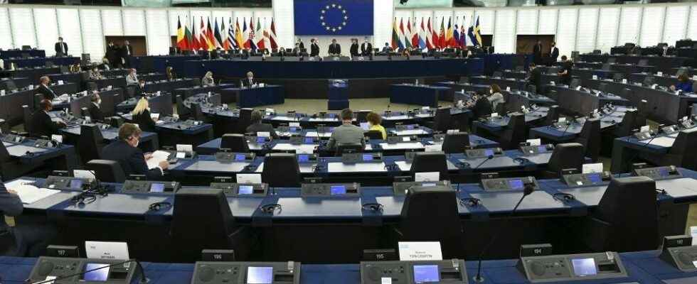 The European Parliament adopts the principle of transnational lists for