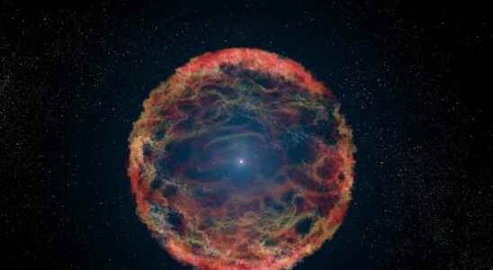 This 4 star system could trigger a rare supernova