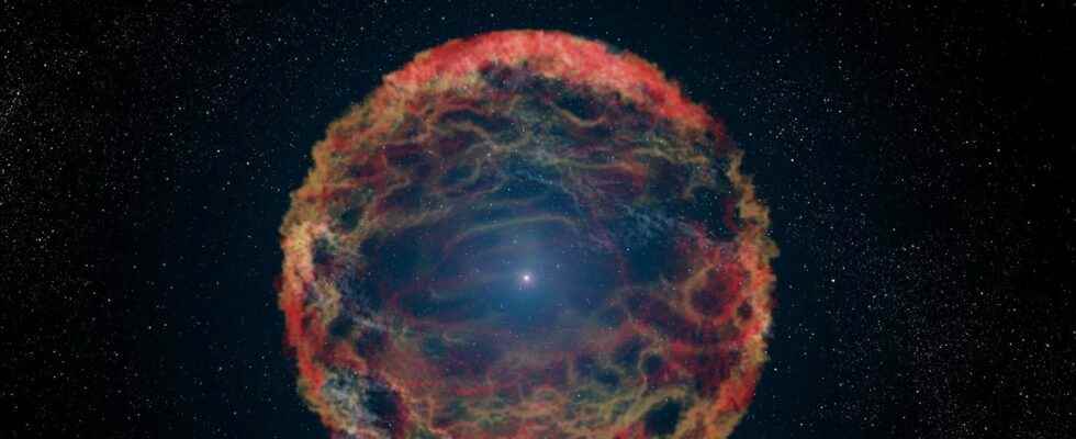 This 4 star system could trigger a rare supernova
