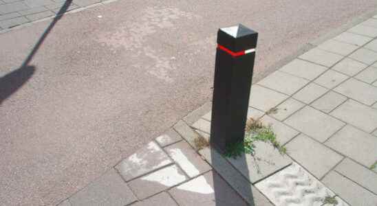 Trees or posts must stop package deliverers and residents of