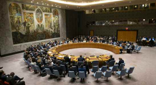 UN Security Council votes unanimously for peace