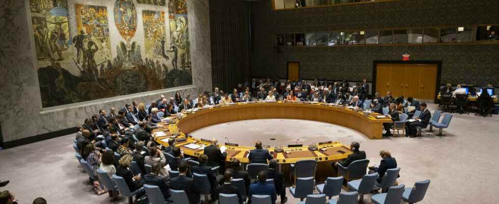 UN Security Council votes unanimously for peace