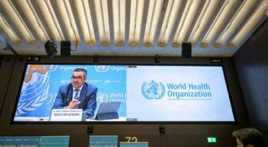 Ukraine and Covid will weigh on the World Health Assembly