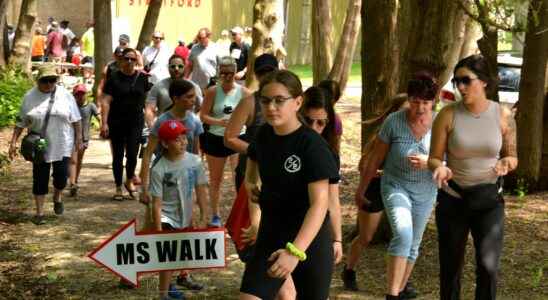 Volunteer run Stratford Perth MS Walk raises nearly 36000 so far for