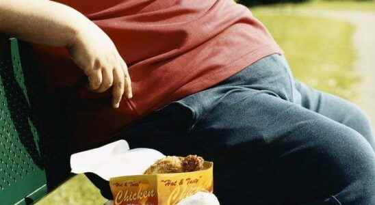 WHO Meal delivery apps and internet games cause obesity to