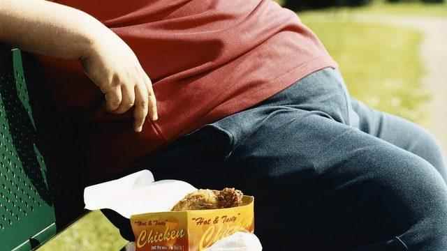 WHO Meal delivery apps and internet games cause obesity to