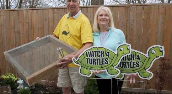 Watch 4 Turtles signs nesting boxes now available
