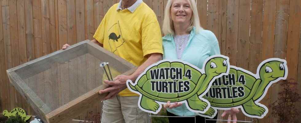 Watch 4 Turtles signs nesting boxes now available