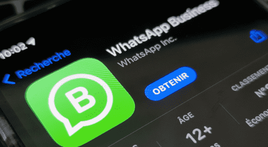 WhatsApp is about to launch a paid version