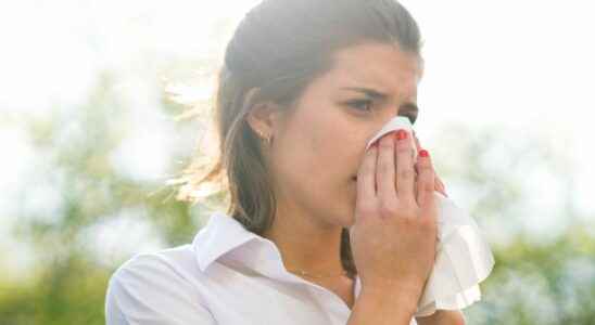 Which weather favors pollen allergies the most