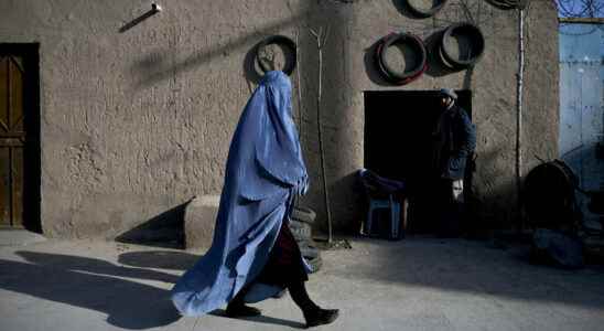 driving license restrictions for women in Herat