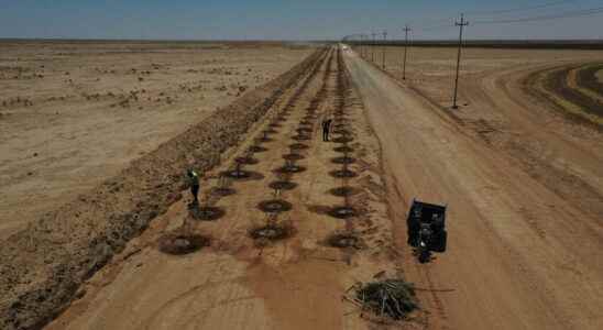 in Abidjan the COP15 on desertification enters its home stretch