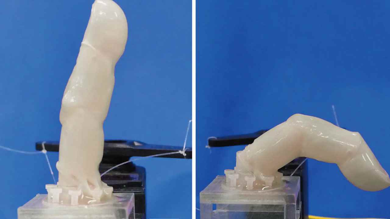 1654842445 847 Robotic finger covered with living skin made from human cells