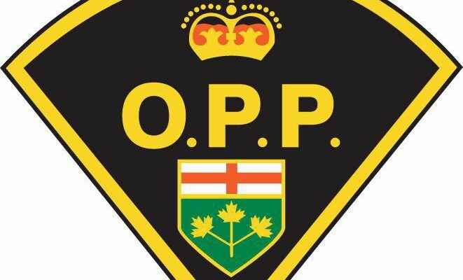 1655265764 OPP moves police record checks online