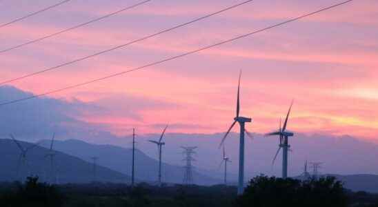 An indigenous community obtains the cancellation of a mega wind