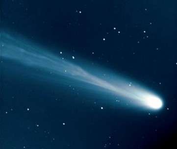 Become a comet hunter